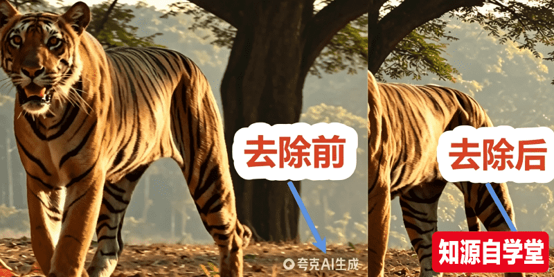 6527c956c6db656fe387d58c5a73120b.png
